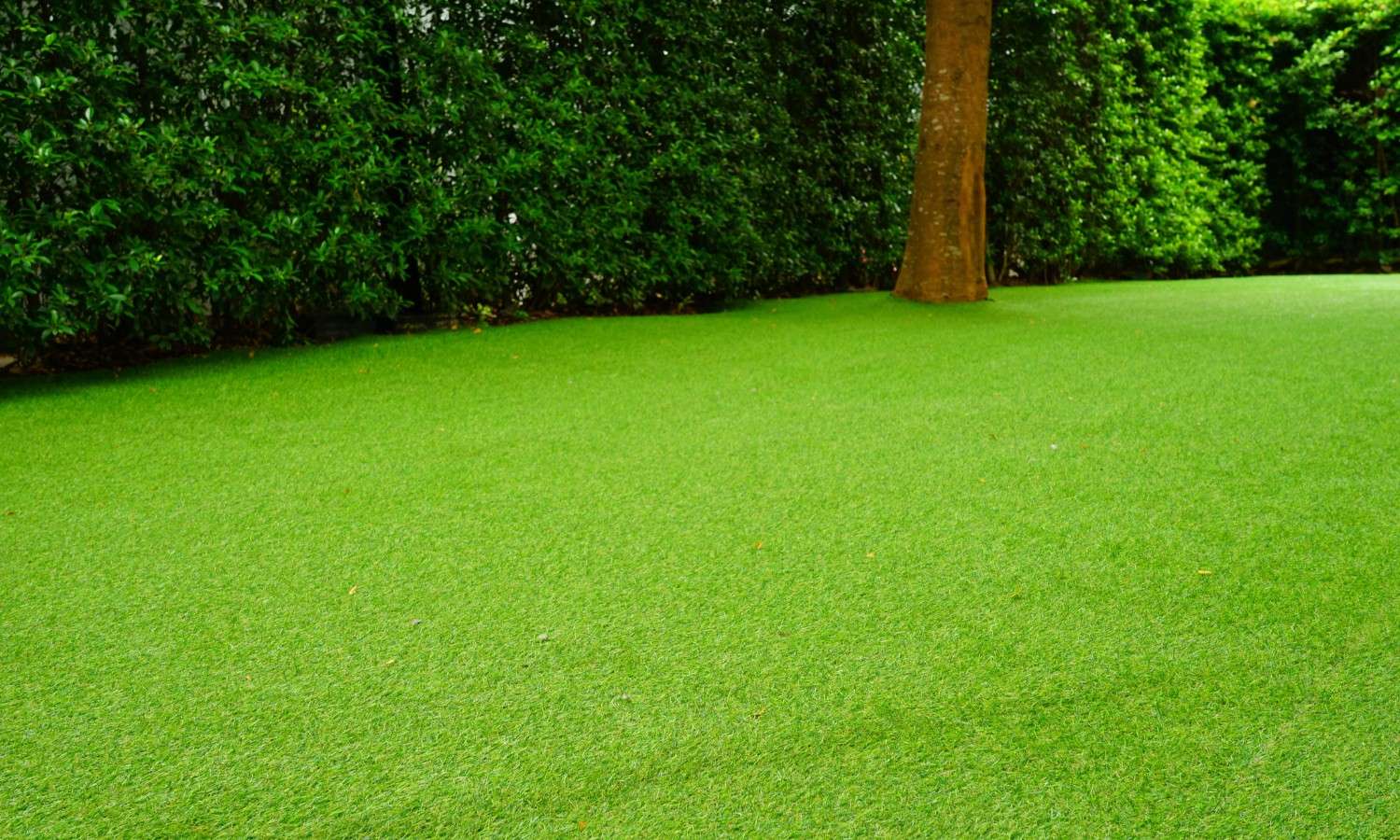 Artificial Grass Fort Myers